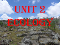 12 unit 2 Ecology-1.pdf